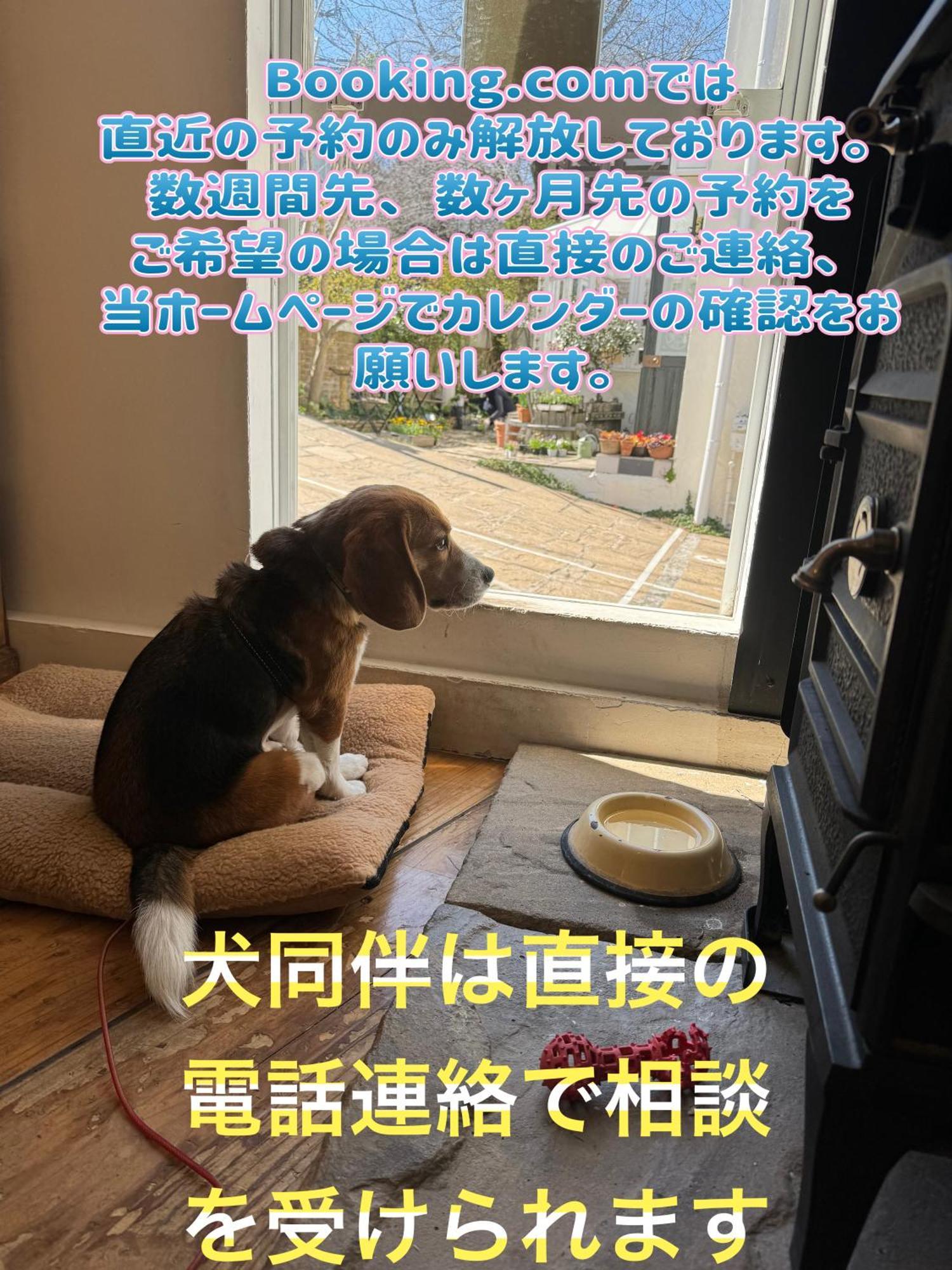 Kamakurayama Holiday Flat Bagian luar foto