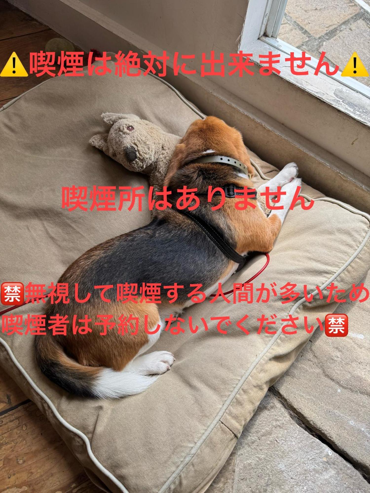 Kamakurayama Holiday Flat Bagian luar foto